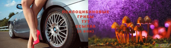 стаф Няндома
