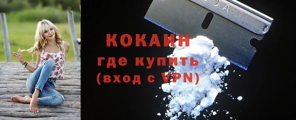 стаф Няндома
