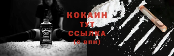 стаф Няндома