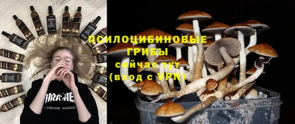 гидра Нязепетровск