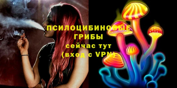 стаф Няндома