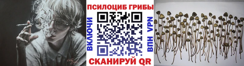 Галлюциногенные грибы Psilocybe  сколько стоит  Сергач 